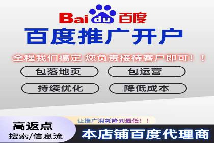 SEO与SEM服务结合的实战案例